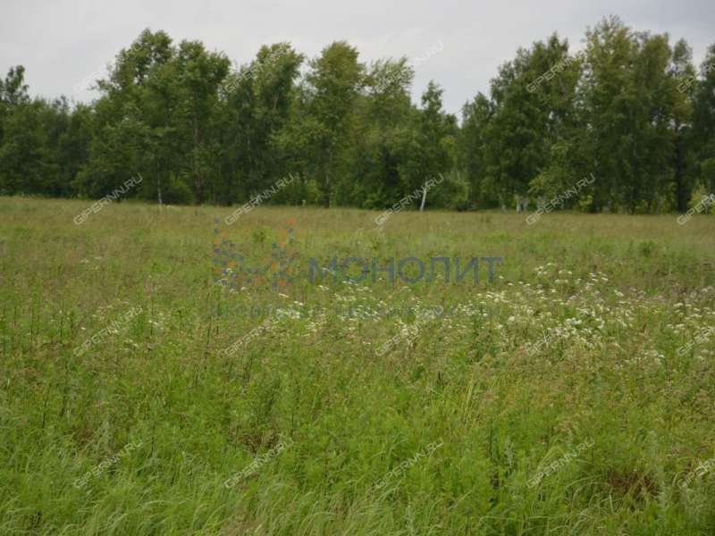 Купить Квартиру В Раосе Раменского Района