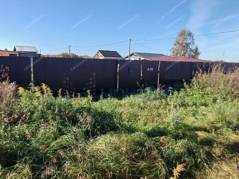 земельный участок 10 соток Новосибирская улица деревня Гремячки