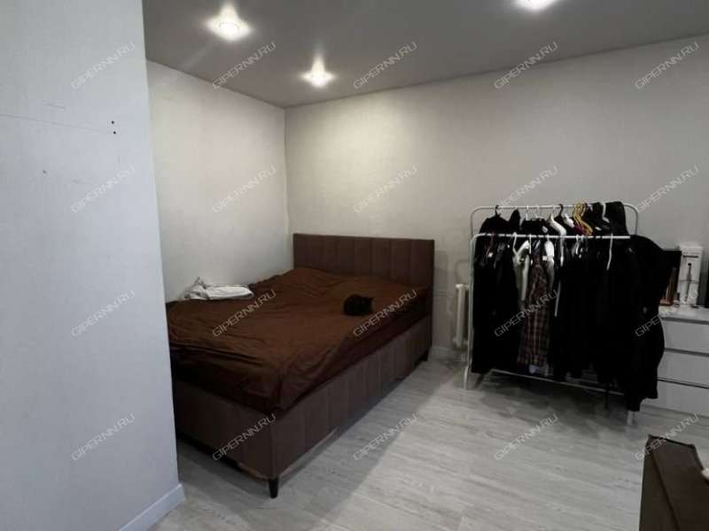 однокомнатная квартира на улице Пушкина дом 42а