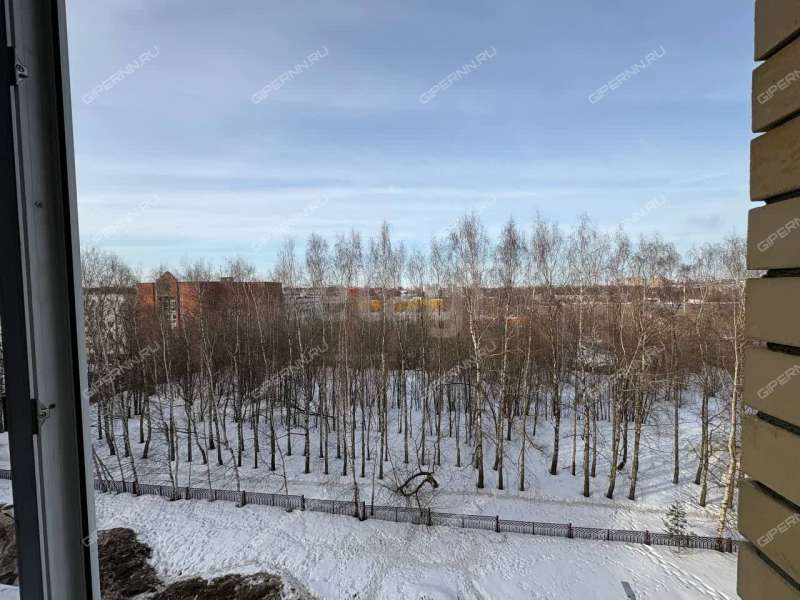 трёхкомнатная квартира на улице Ванеева дом 229