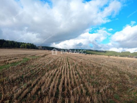 derevnya-inyutino-bogorodskiy-municipalnyy-okrug фото