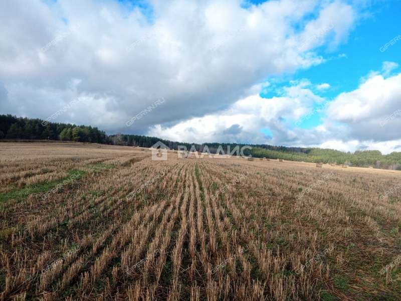 земельный участок 10 соток деревня Инютино