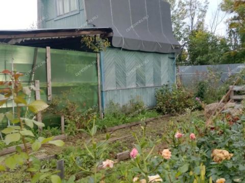 dacha-nst-stroygaz фото