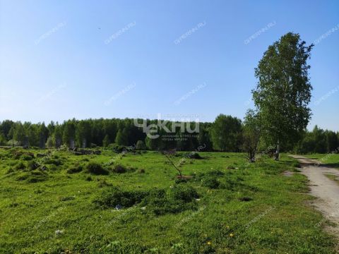 derevnya-mednikovo-gorodskoy-okrug-chkalovsk фото