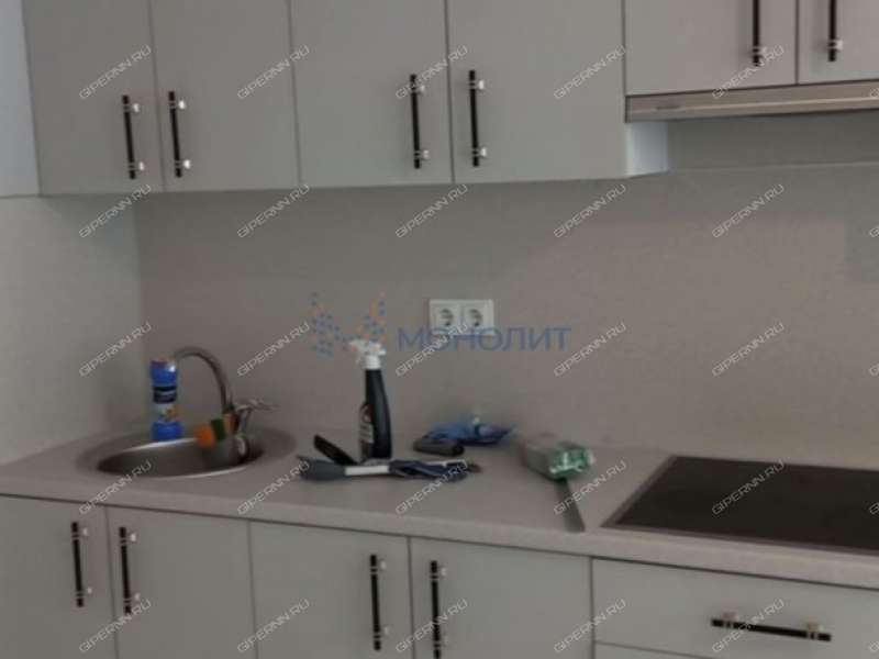 двухкомнатная квартира на Черкесской улице дом 17 деревня Анкудиновка