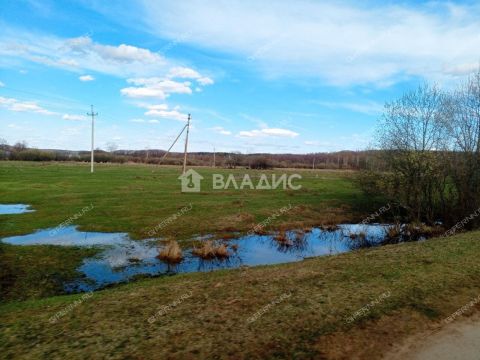 derevnya-inyutino-bogorodskiy-municipalnyy-okrug фото