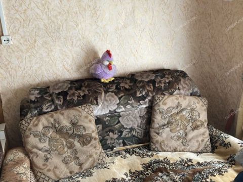 dom-derevnya-dryukovo-gorodskoy-okrug-bor фото