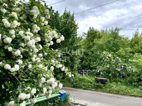3-komnatnaya-derevnya-afonino-kstovskiy-rayon фото