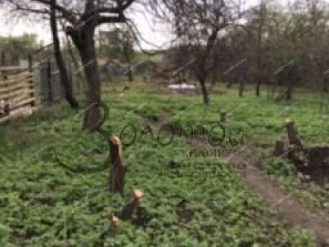 novinskiy-selsovet фото