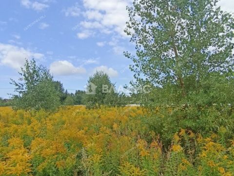 derevnya-knyazhevo-gorodskoy-okrug-bor фото