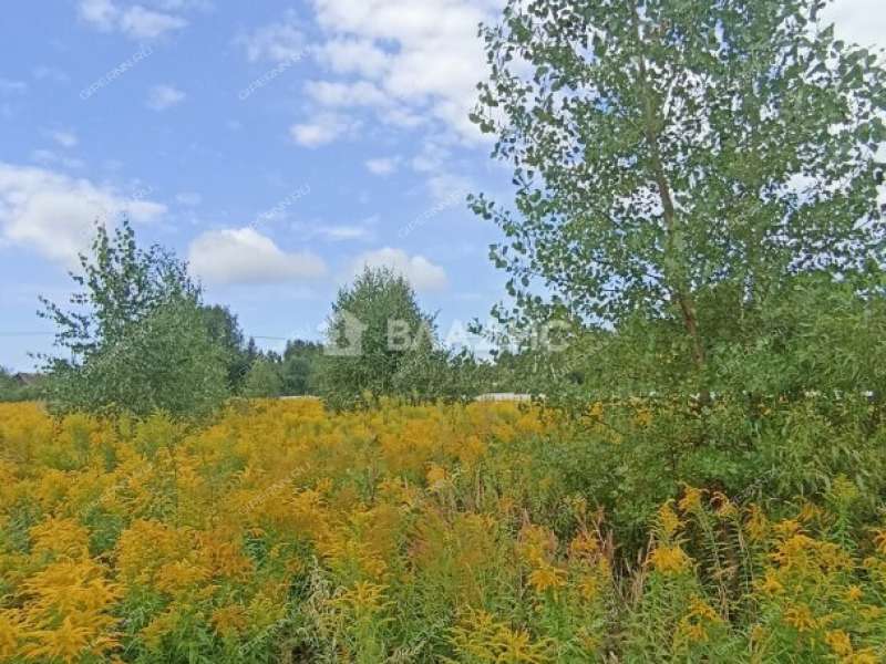 земельный участок 13 соток деревня Княжёво