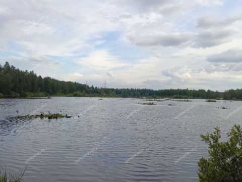 dom-poselok-zheleznodorozhnyy-sitnikovskiy-selsovet-gorodskoy-okrug-bor фото