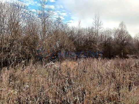 derevnya-hmelevaya-polyana-dalnekonstantinovskiy-rayon фото