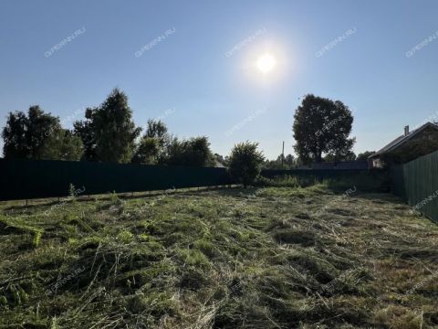 dacha-derevnya-ilinskoe-gorodskoy-okrug-bor фото