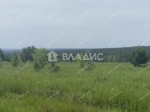 selskiy-poselok-mirnyy-bogorodskiy-municipalnyy-okrug фото