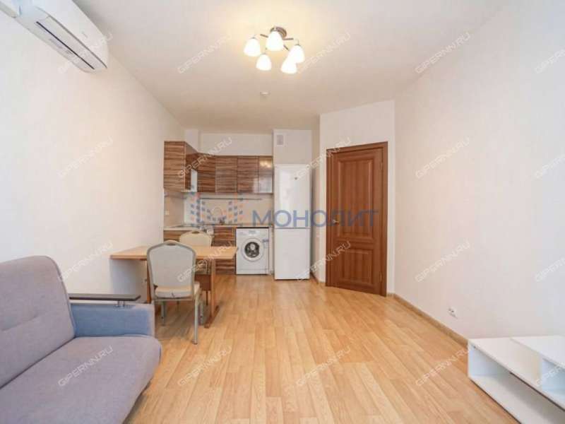 однокомнатная квартира на Русской улице улице дом 4 деревня Анкудиновка