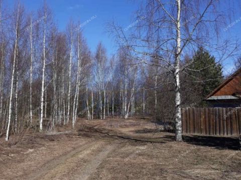 derevnya-lomki-gorodeckiy-rayon фото