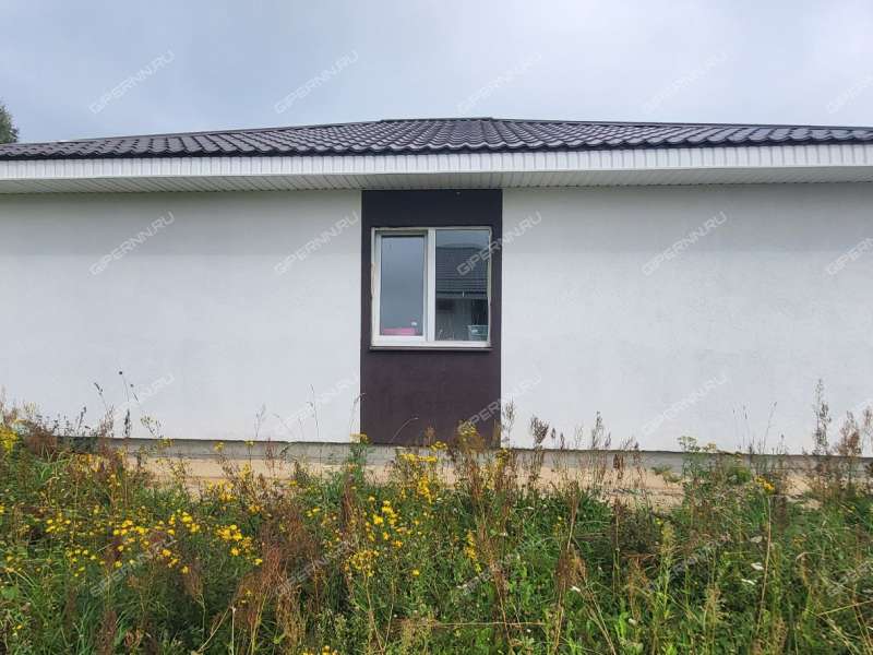 дом на Героя Демина ул. деревня Пруды