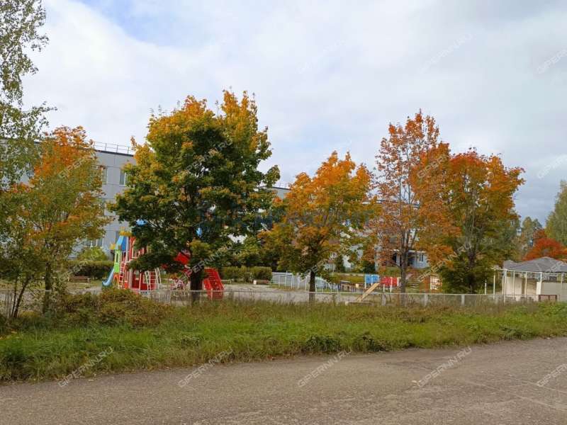 трёхкомнатная квартира на Танковой улице дом 20 посёлок Новосмолинский