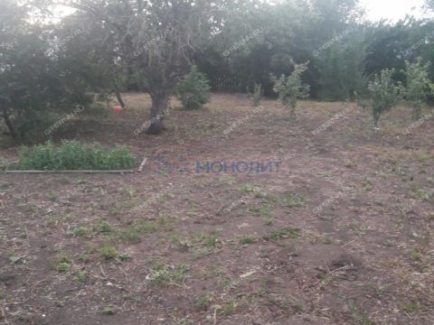 dom-selo-spasskoe-gorodskoy-okrug-bor фото