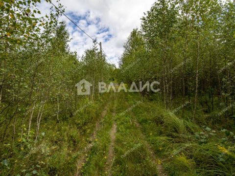 selo-spirino-bogorodskiy-municipalnyy-okrug фото