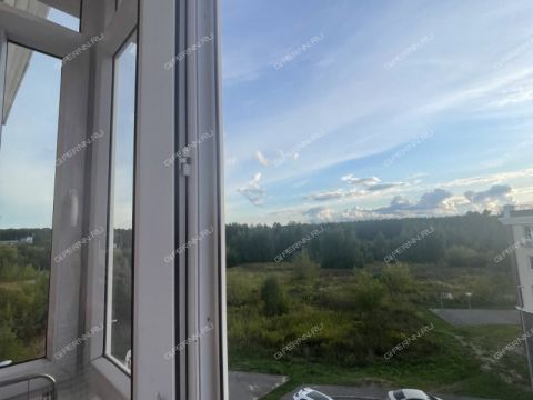 1-komnatnaya-gorod-kstovo-kstovskiy-rayon фото