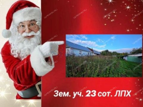 selo-dudenevo-bogorodskiy-municipalnyy-okrug фото