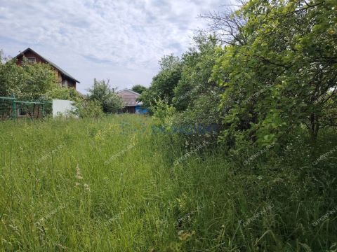 derevnya-krutec-aleshkovskiy-selsovet-bogorodskiy-municipalnyy-okrug фото