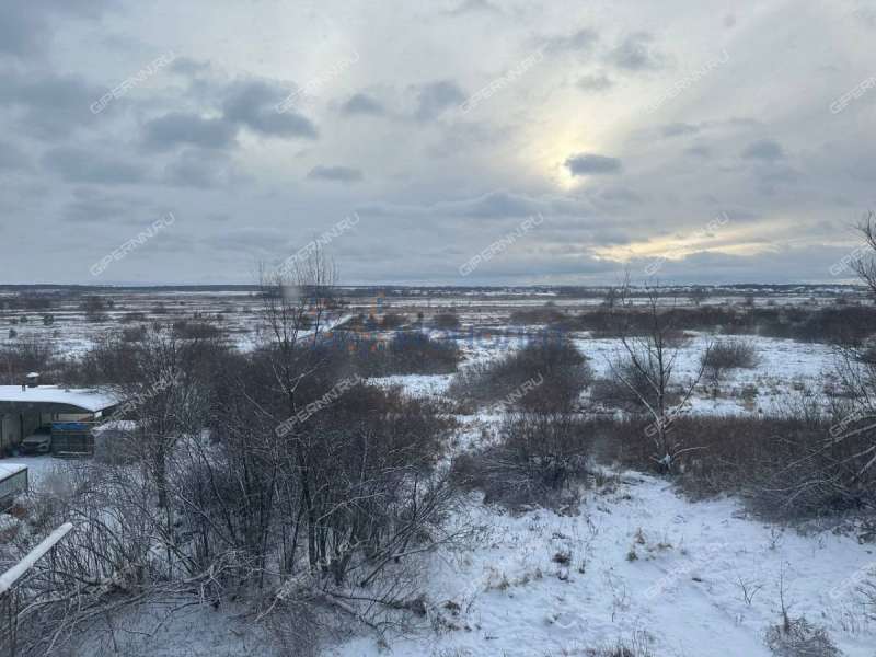 однокомнатная квартира на п Дружный дом 4 посёлок Дружный