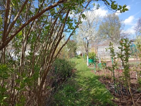 dacha-gorod-vorsma-pavlovskiy-municipalnyy-okrug фото