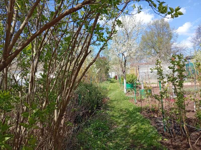 дача на улице Мира город Ворсма