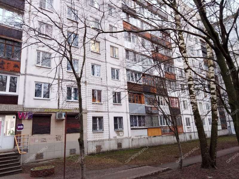 двухкомнатная квартира на проспекте Гагарина дом 198