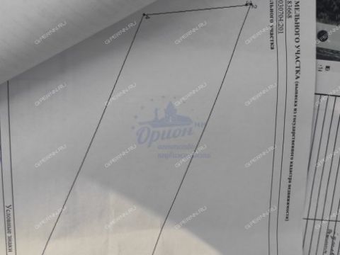 derevnya-mozgulino-gorodeckiy-rayon фото