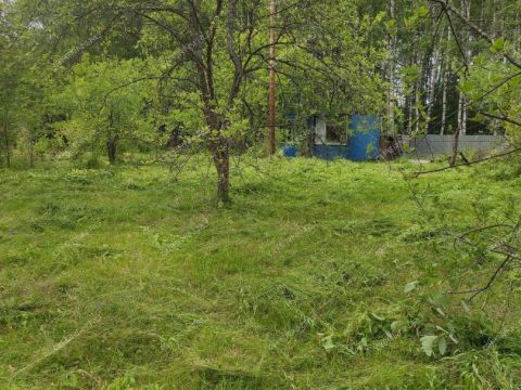 derevnya-zolotovo-gorodskoy-okrug-bor фото