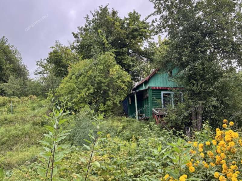 сад на Широтной улице