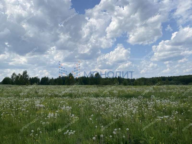 земельный участок под сельхоз назначение в городском округе Чкаловск Нижегородской области