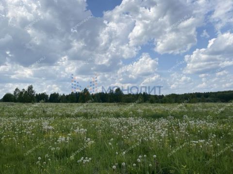 derevnya-kolosiha-gorodskoy-okrug-chkalovsk фото