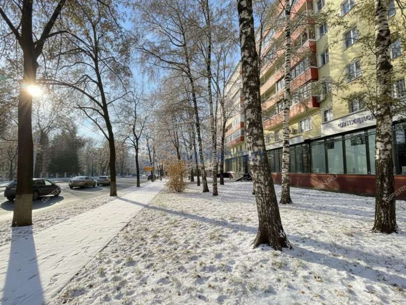 трёхкомнатная квартира на улице Белинского дом 49