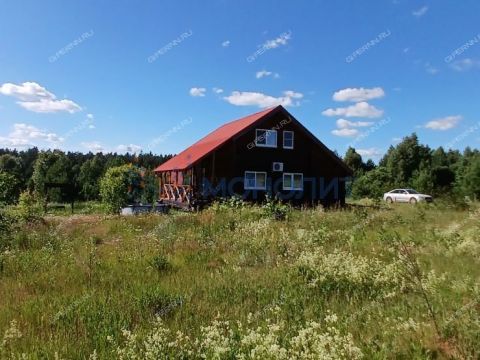 dom-selo-pustyn-gorodskoy-okrug-arzamas фото