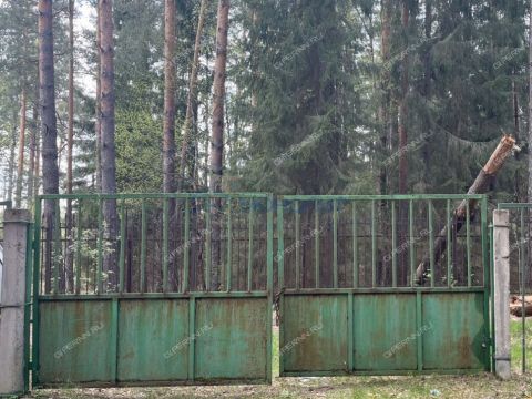 dacha-derevnya-sverchkovo-gorodskoy-okrug-bor фото