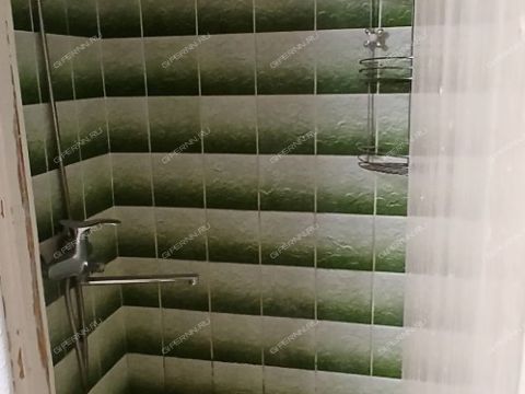 1-komnatnaya-gorod-bor-gorodskoy-okrug-bor фото