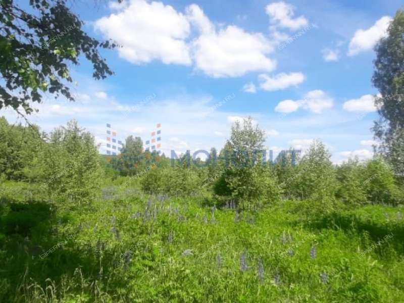дом на Советской улице село Ильино-Заборское