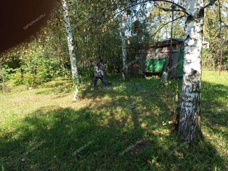 земельный участок под сельхоз назначение в городском округе Бор Нижегородской области