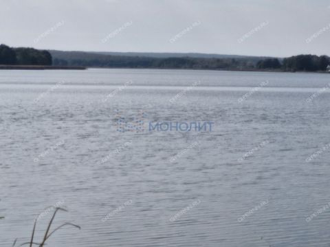 derevnya-vyshka-dalnekonstantinovskiy-rayon фото