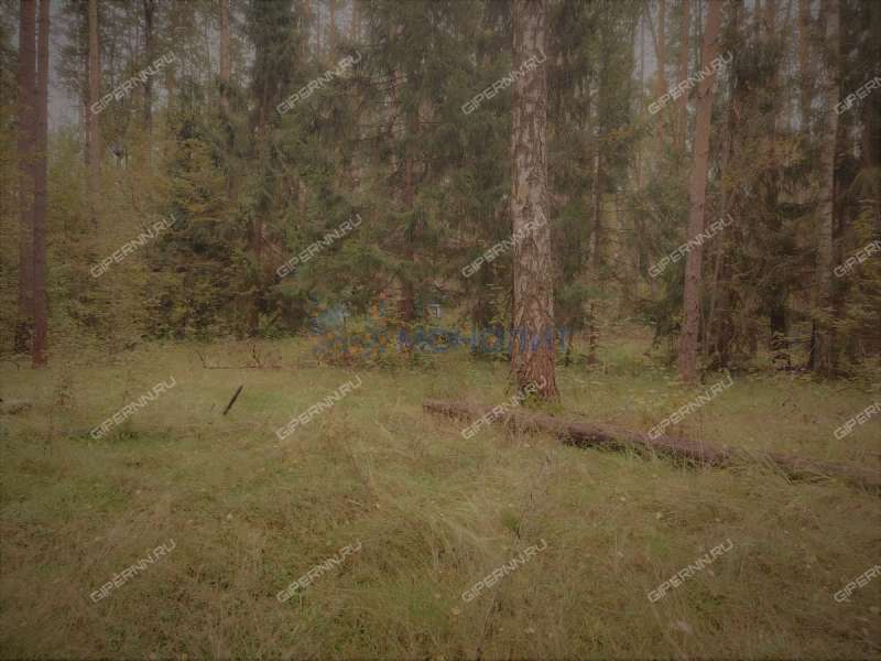 земельный участок под коммерческое использование в городском округе Бор Нижегородской области