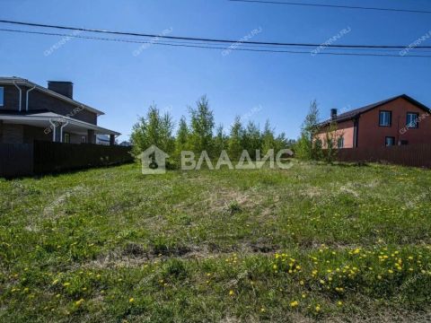 derevnya-burcevo-bogorodskiy-municipalnyy-okrug фото