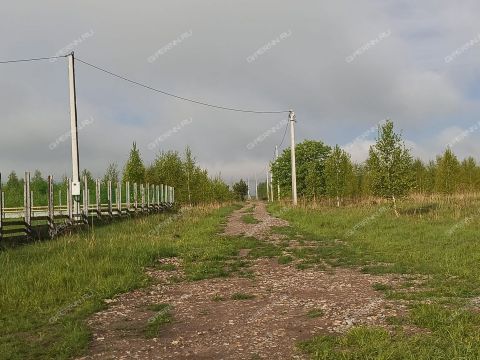 derevnya-chuvarley-dalnekonstantinovskiy-rayon фото
