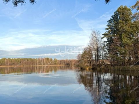 dom-poselok-novaya-shomohta-sokolskiy-gorodskoy-okrug фото