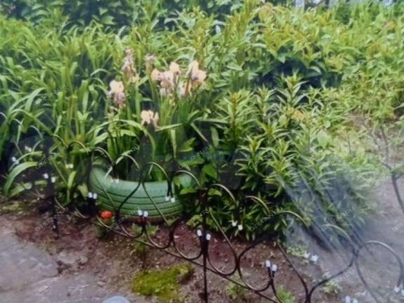 1/2 дома на Бутырской улице