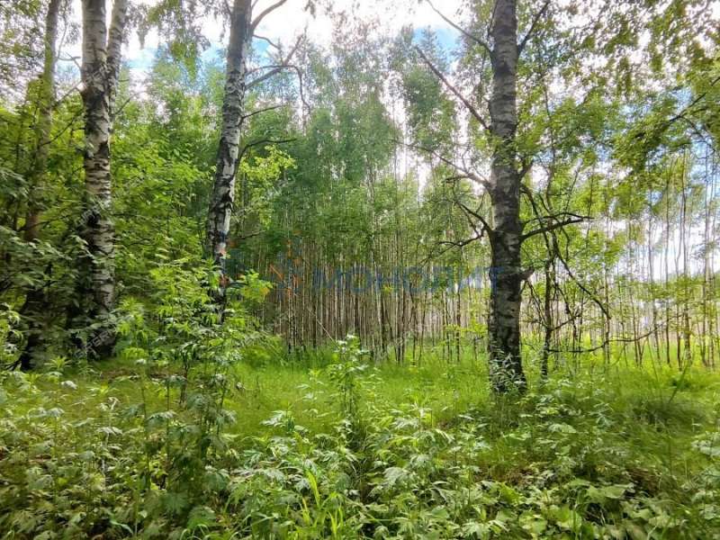 земельный участок под сельхоз назначение в городском округе Сокольский Нижегородской области